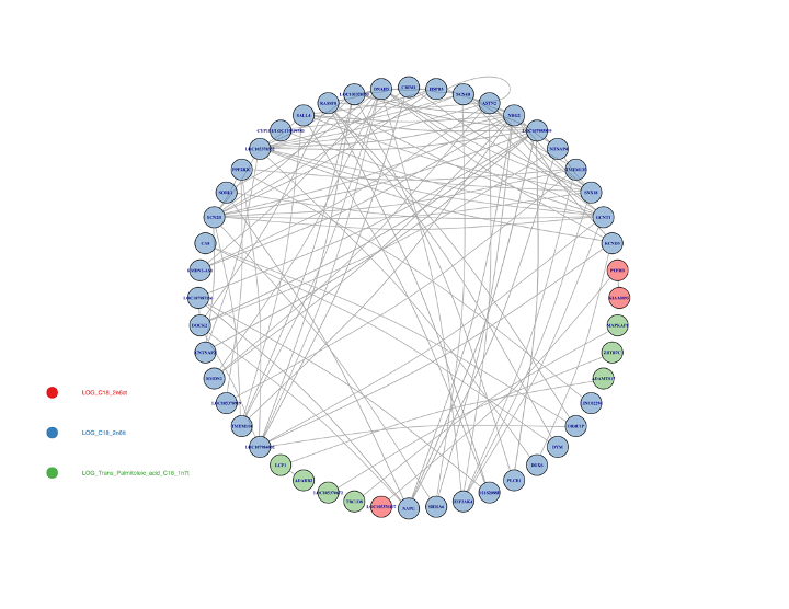 Cardiac Gene Interactions